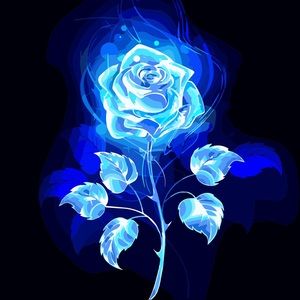 Meet your Posher, Loann